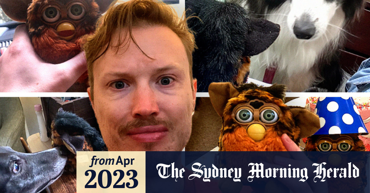 Show me a furby cheap